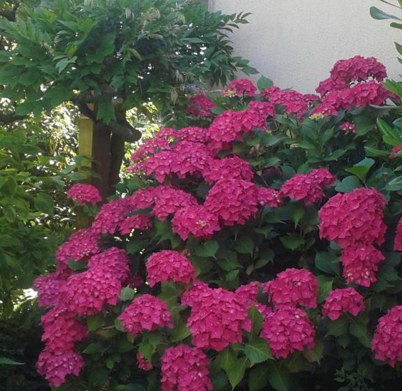 Standard room with outdoor bath, Le Champ Du Petit Bois