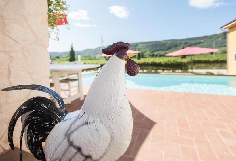 اتاق استاندارد با چشم‌انداز باغ, Maso Maroni Agriturismo