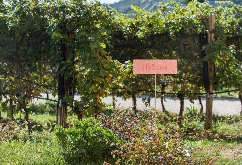 اتاق استاندارد با چشم‌انداز استخر, Maso Maroni Agriturismo