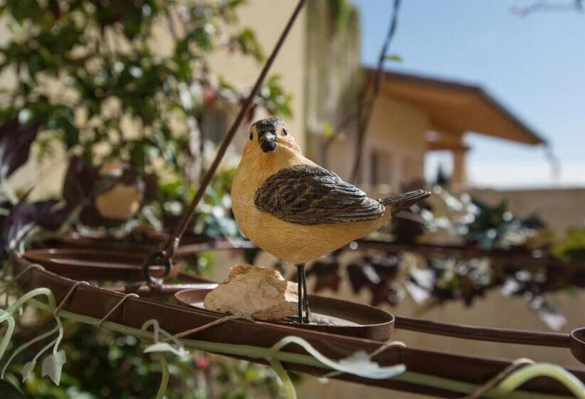 اتاق لوکس, Maso Maroni Agriturismo