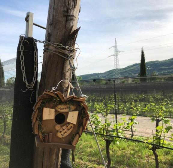 اتاق استاندارد با چشم‌انداز باغ, Maso Maroni Agriturismo