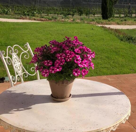 اتاق استاندارد با چشم‌انداز باغ, Maso Maroni Agriturismo