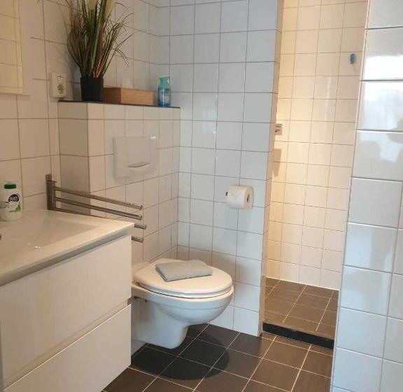 חדר סטנדרט, Zeelui