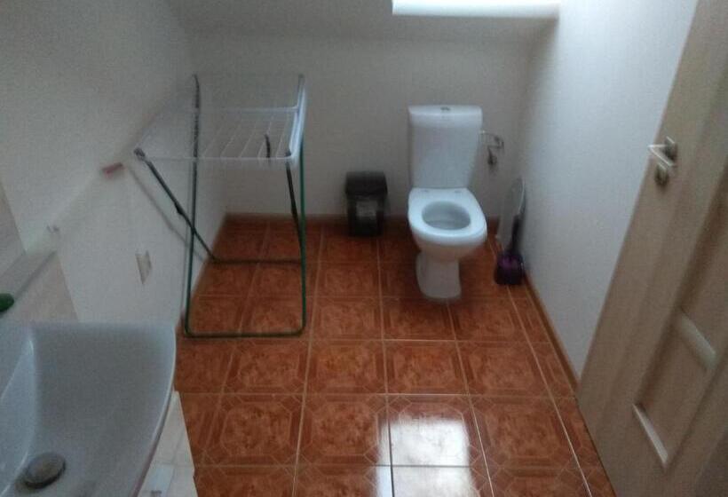 스탠다드 트리플 룸, Penzionhanarobo