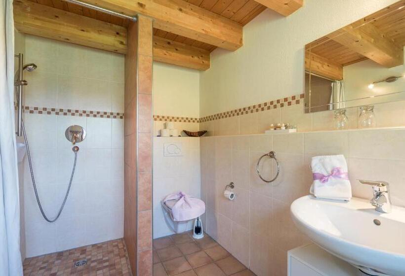１ベッドルームアパートメント, Berggasthof Riefenkopf