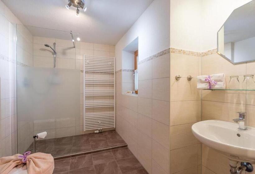 Апартаменты 1 Спальня, Berggasthof Riefenkopf