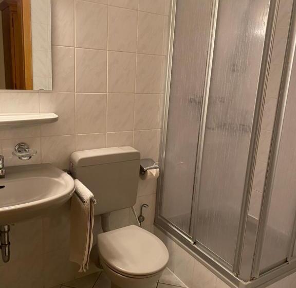 Номер Стандарт Индивидуальный, Gasthaus Goa