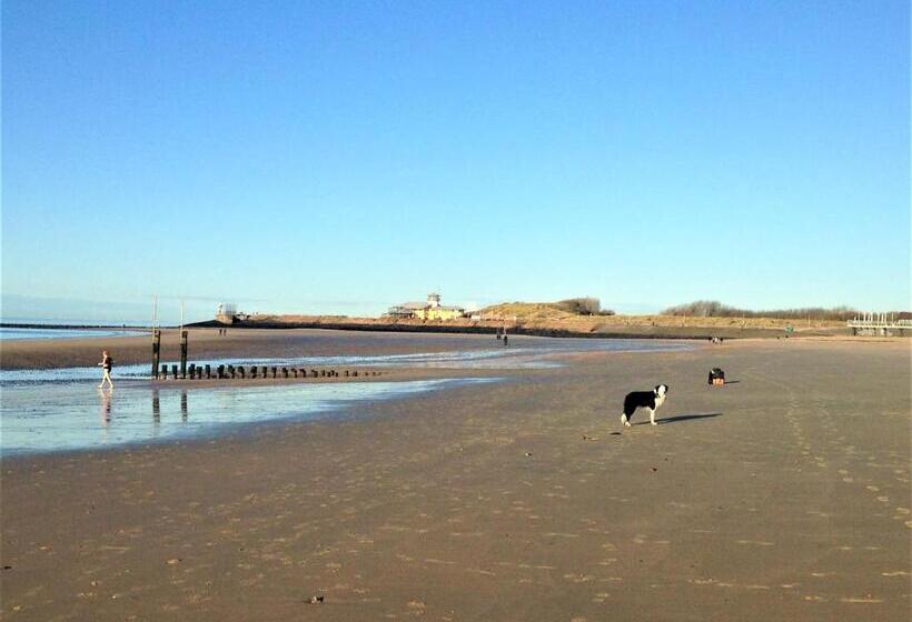 اتاق استاندارد, Westerschelde B&b