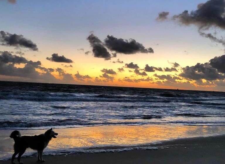 اتاق استاندارد, Westerschelde B&b