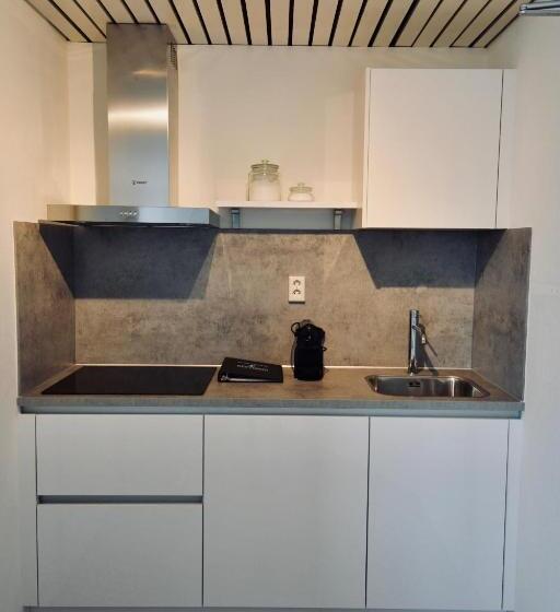 Апартаменты 1 Спальня Вид на Море, Neptunus Appartementen