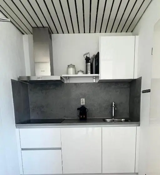 １ベッドルームアパートメント, Neptunus Appartementen