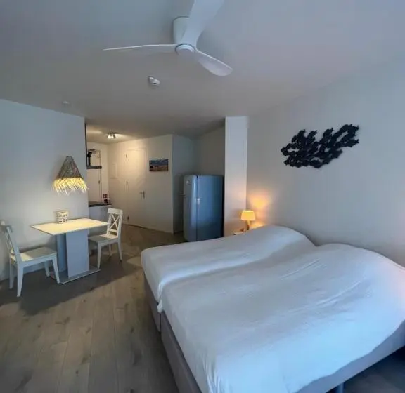テラス付きスタンダードワンルーム, Neptunus Appartementen