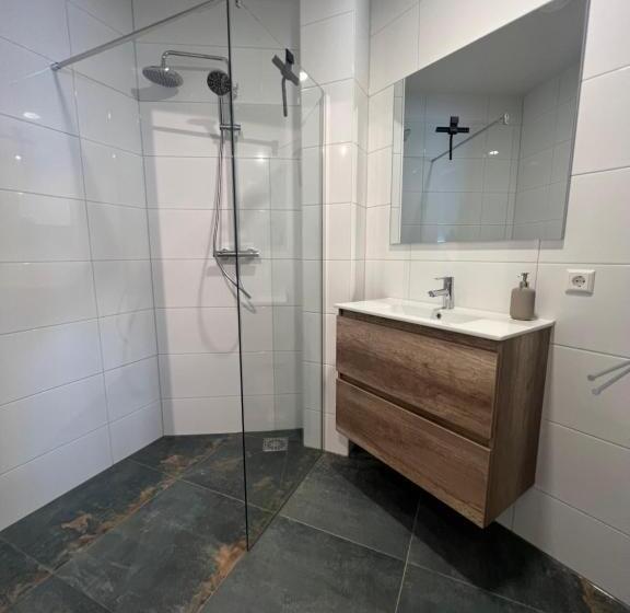 סטודיו סטנדרט עם מרפסת, Neptunus Appartementen