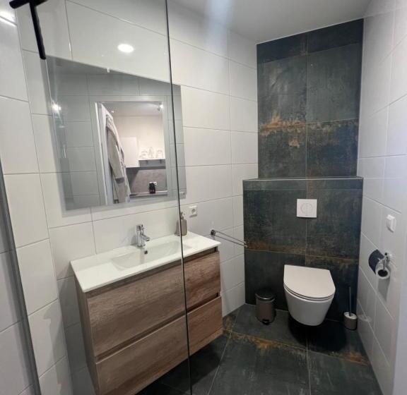 סטודיו סטנדרט עם מרפסת, Neptunus Appartementen