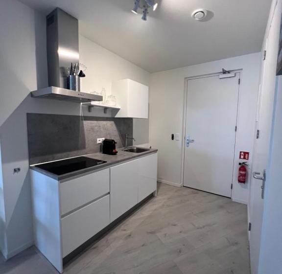 סטודיו סטנדרט עם מרפסת, Neptunus Appartementen