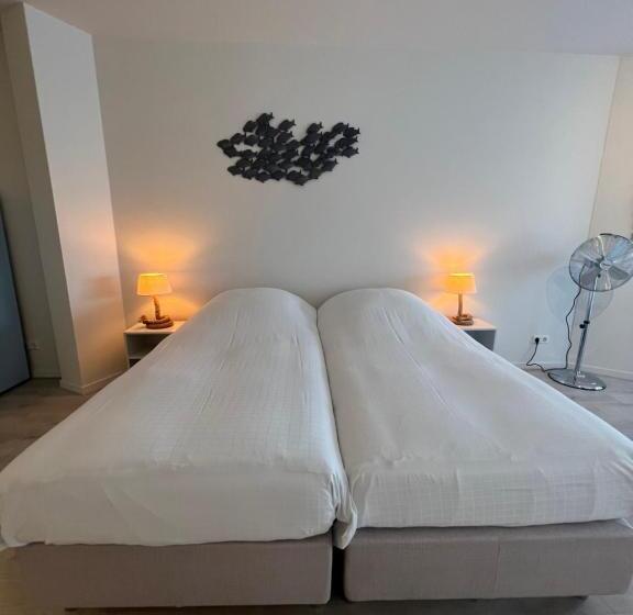 סטודיו סטנדרט עם מרפסת, Neptunus Appartementen