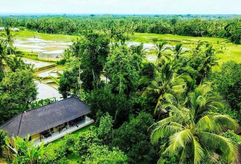 デラックスルーム, Bucu Hidden Guest House, And Meditation Center