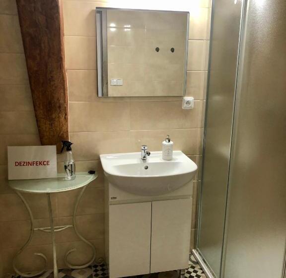 침실 1개 테라스 아파트, Penzion U Kapitána