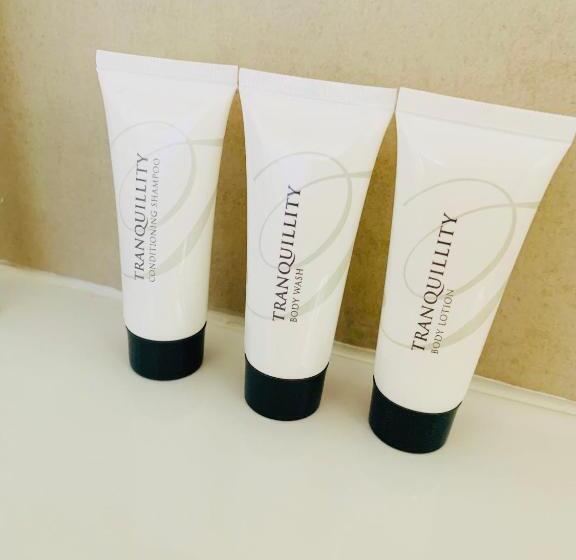 غرفة ديلوكس, Welgemeendt Accommodation