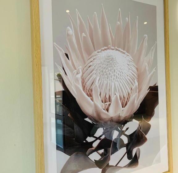 غرفة ديلوكس, Welgemeendt Accommodation