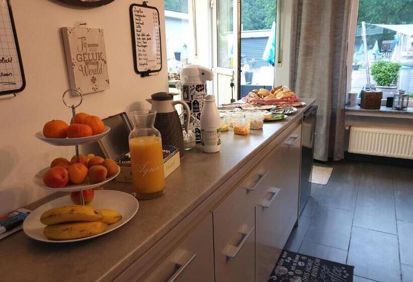 スタンダードルーム, B&b Lazy Life