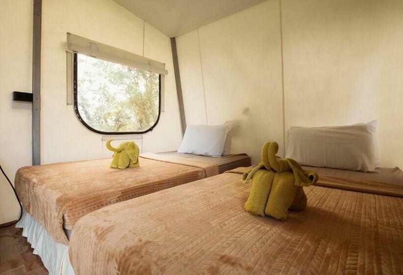 Standard Tent, Kachonghills Tented Resort Trang
