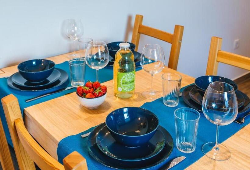 1 Bedroom Penthouse Apartment, Pr Jernejc Agroturism