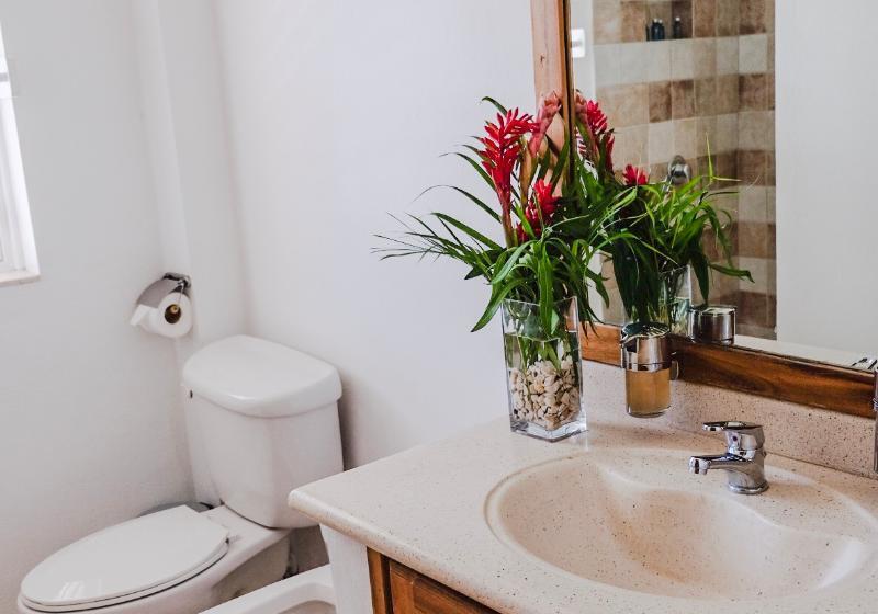 شقة غرفة واحدة, Albachiara Hotel   Las Terrenas