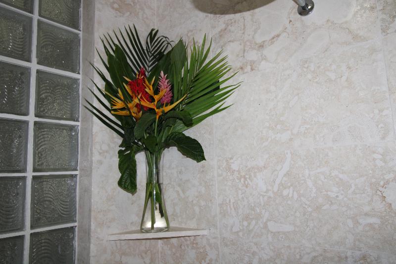 شقة غرفة واحدة, Albachiara Hotel   Las Terrenas