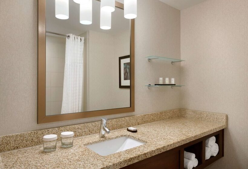 套房, Embassy Suites By Hilton Denver Downtown Convention Center