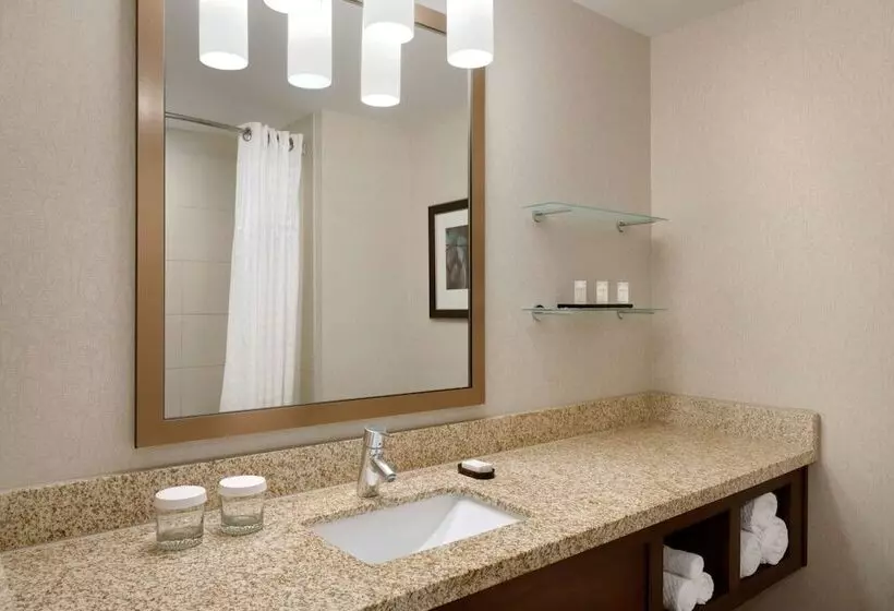 マウンテンビュースイート, Embassy Suites By Hilton Denver Downtown Convention Center
