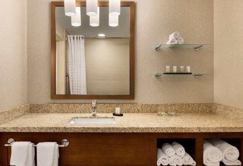 סוויטה נוף להרים, Embassy Suites By Hilton Denver Downtown Convention Center