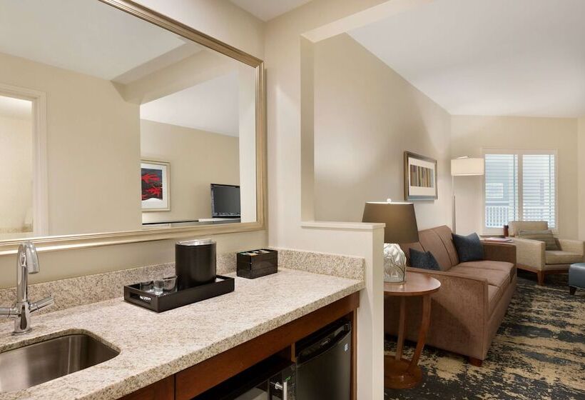 סוויטה נוף להרים, Embassy Suites By Hilton Denver Downtown Convention Center