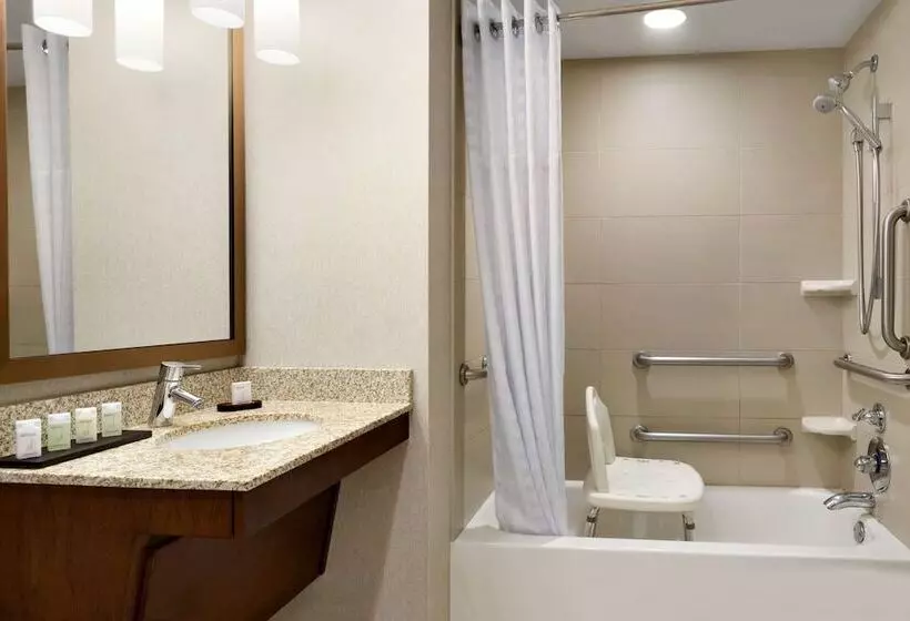 身障者適用スイートルーム, Embassy Suites By Hilton Denver Downtown Convention Center