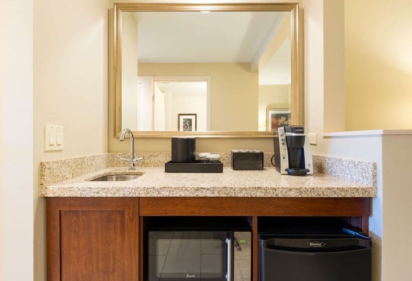 סוויטה מותאמת לאדם עם מוגבלויות, Embassy Suites By Hilton Denver Downtown Convention Center