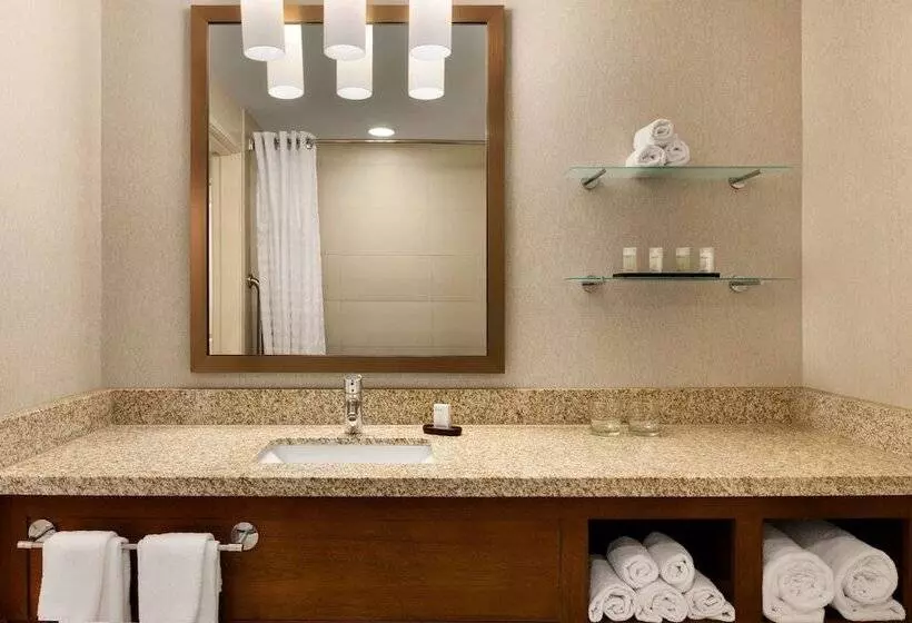 プレミアムスイート, Embassy Suites By Hilton Denver Downtown Convention Center
