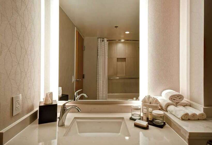 套房, Embassy Suites By Hilton Denver Downtown Convention Center