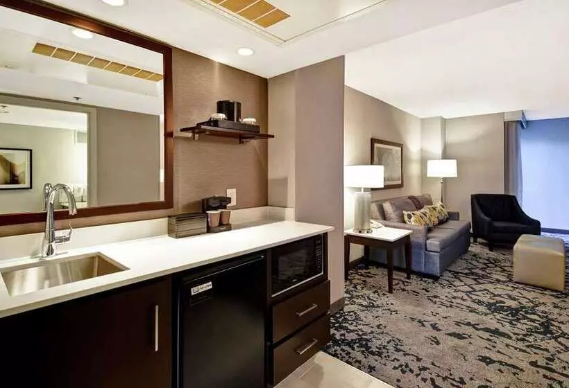 スイート, Embassy Suites By Hilton Denver Downtown Convention Center