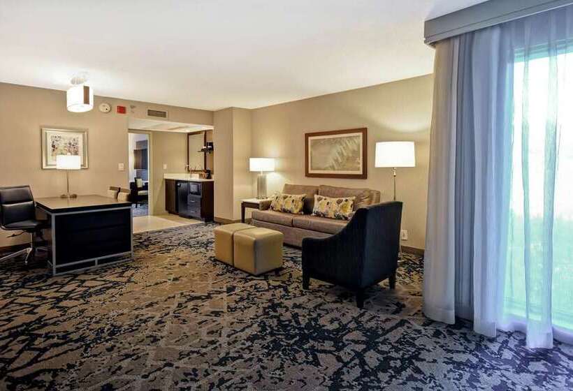 סוויטה, Embassy Suites By Hilton Denver Downtown Convention Center
