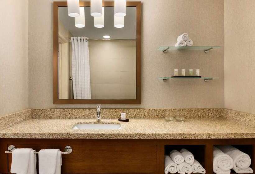 סוויטה, Embassy Suites By Hilton Denver Downtown Convention Center