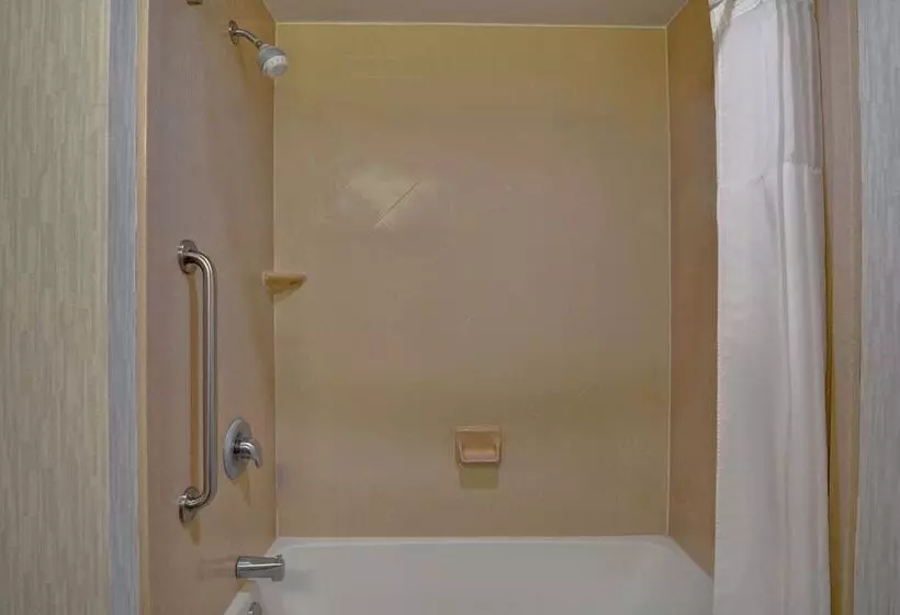 ダブルベッドのスタンダードスタジオ, Hampton Suites Birmingham Hoover