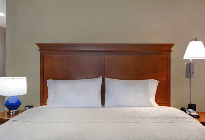 Студия Стандарт Двуспальная Кровать, Hampton Suites Birmingham Hoover