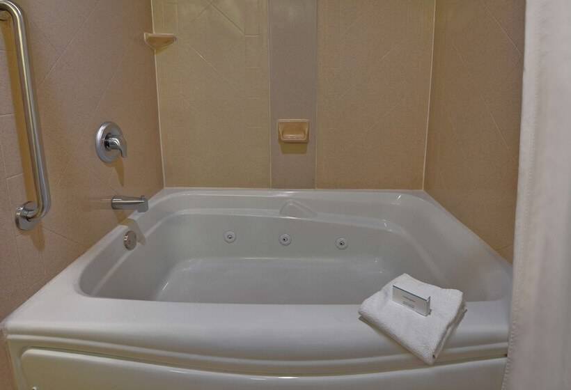 ダブルベッドのスタンダードスタジオ, Hampton Suites Birmingham Hoover