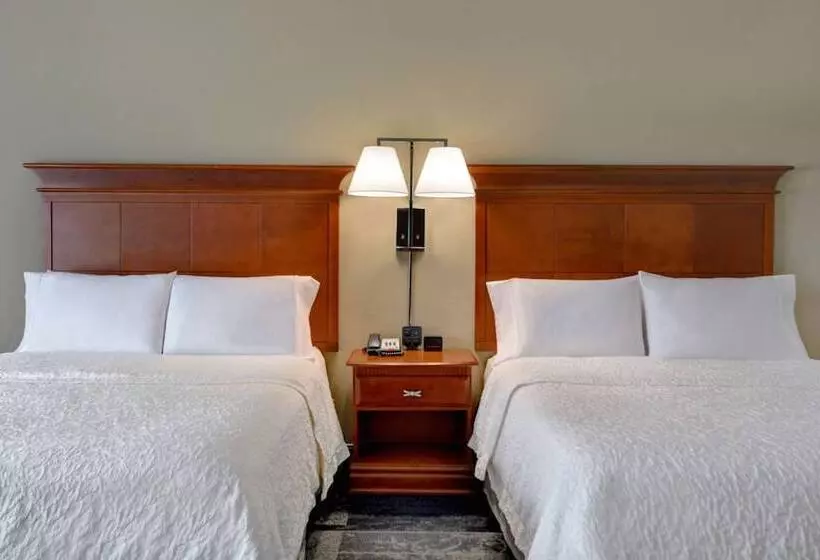 ２ダブルベッドのスタンダードルーム, Hampton Suites Birmingham Hoover