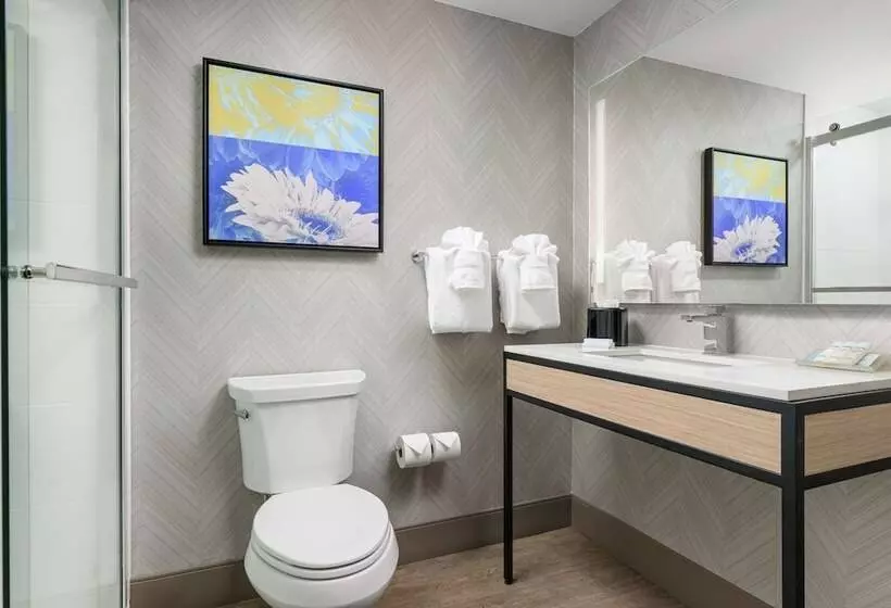 ダブルベッドスタンダードルーム, Hilton Garden Inn Nashville/franklin Cool Springs