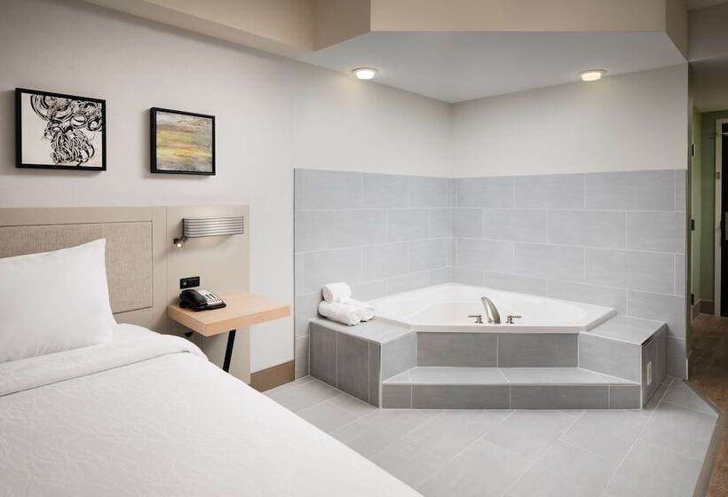 Номер Стандарт Двуспальная Кровать, Hilton Garden Inn Nashville/franklin Cool Springs