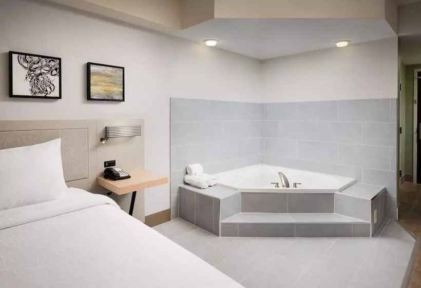 ダブルベッドスタンダードルーム, Hilton Garden Inn Nashville/franklin Cool Springs
