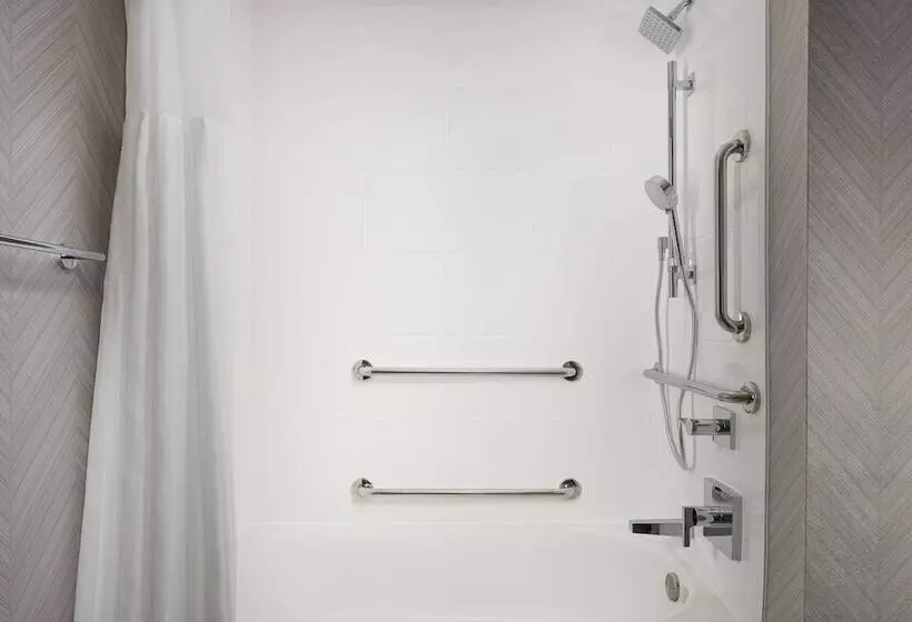 身障者適用スタンダードルーム, Hilton Garden Inn Nashville/franklin Cool Springs
