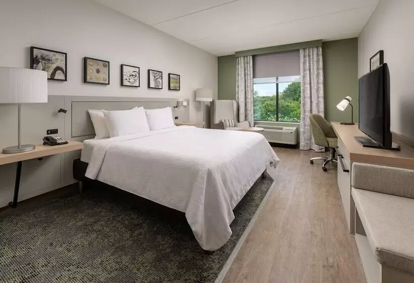 身障者適用スタンダードルーム, Hilton Garden Inn Nashville/franklin Cool Springs