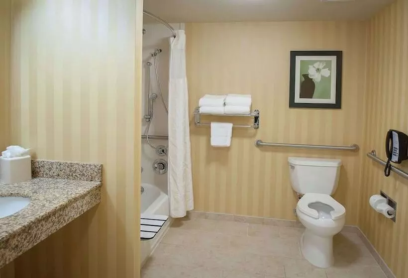 Standard-huone, Hilton Garden Inn Pensacola Airport Medical Center
